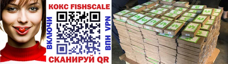 COCAIN Fish Scale Высоковск