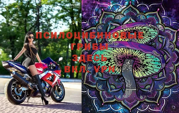 PSILOCYBIN Пролетарск