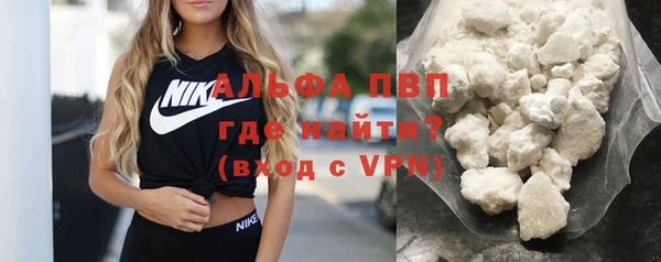 ECSTASY Гусь-Хрустальный