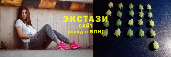 ECSTASY Гусь-Хрустальный