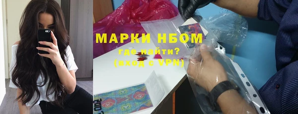 стафф Гусев