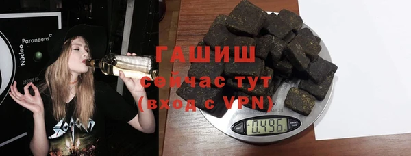 стафф Гусев