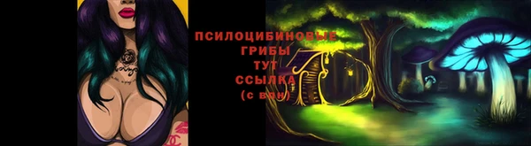 герыч Елизово