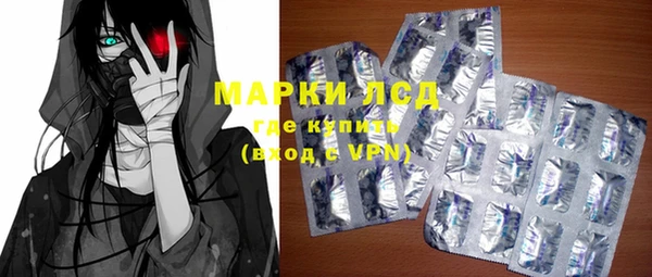 стафф Гусев