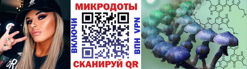 omg tor  Высоковск  Псилоцибиновые грибы MAGIC MUSHROOMS 
