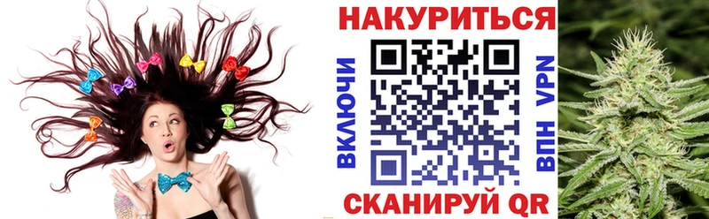 Канабис сатива  Высоковск 